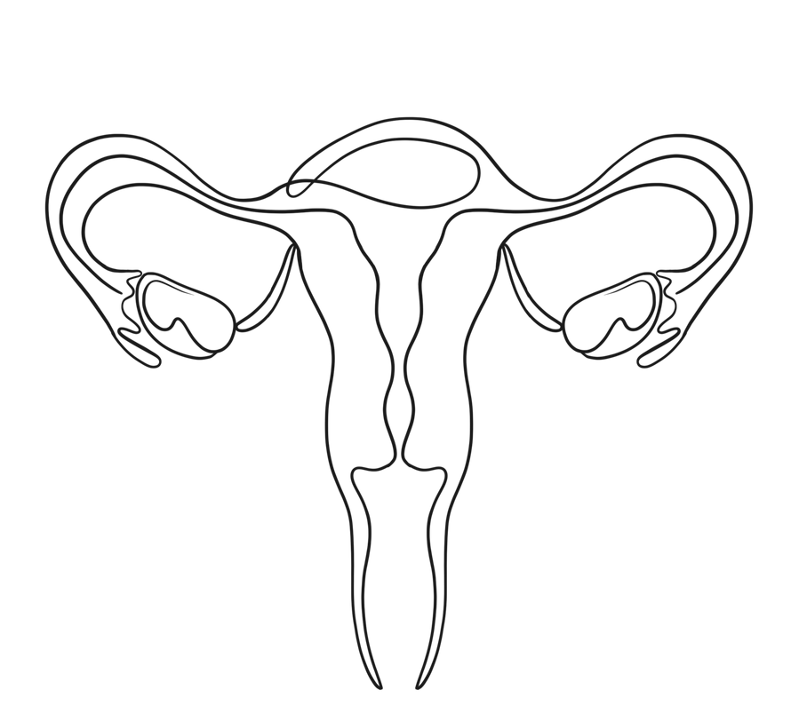 Lijntekening van een baarmoeder met eileiders en eierstokken